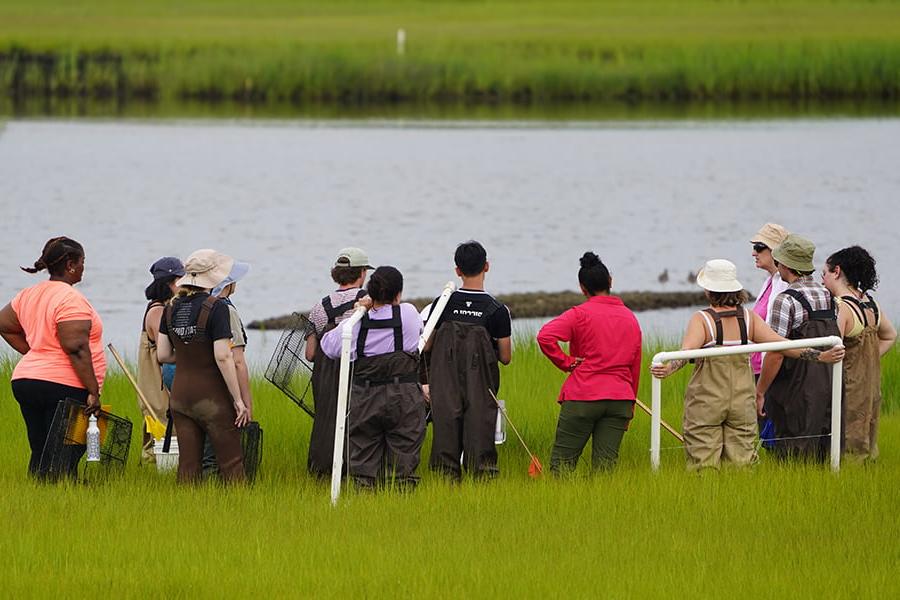 group of students carrying frames in tall grass by water.