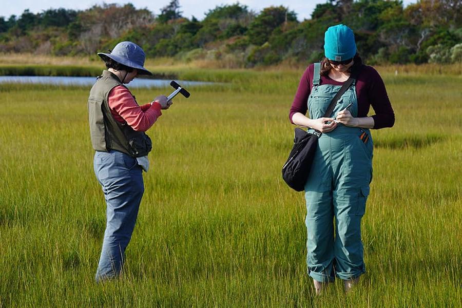 Two students researching in grass on Nantucket.