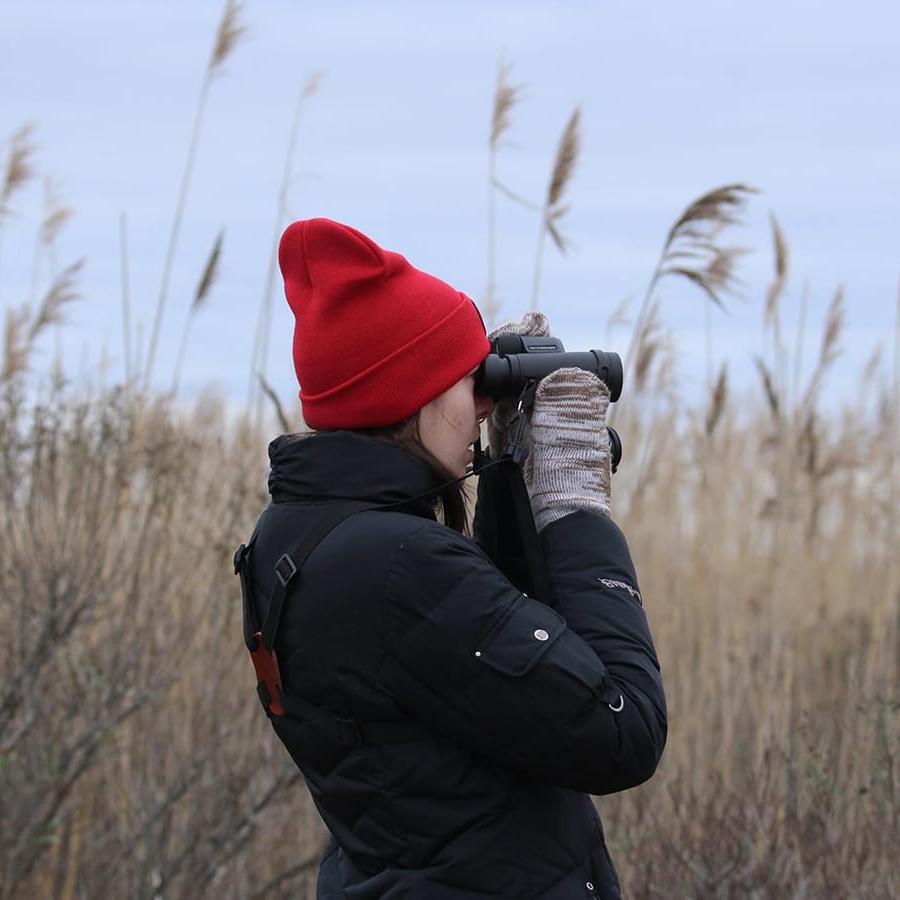 student in field on Nantucket looks through binnoculars